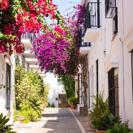 Oasis Lomas Del Club *