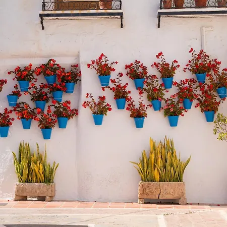 Oasis Lomas Del Club