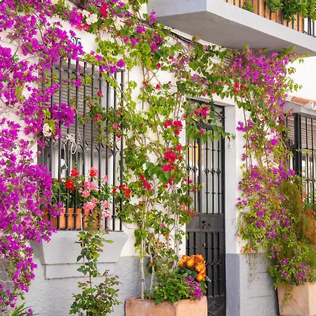 Apartment Oasis Lomas Del Club