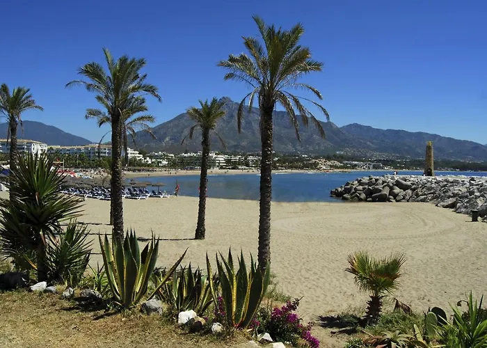 Oasis Lomas Del Club ماربيا
