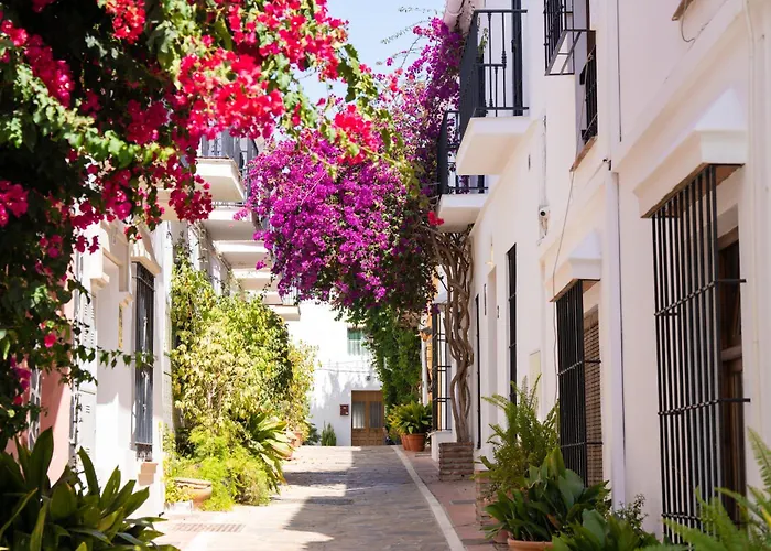 Oasis Lomas Del Club *