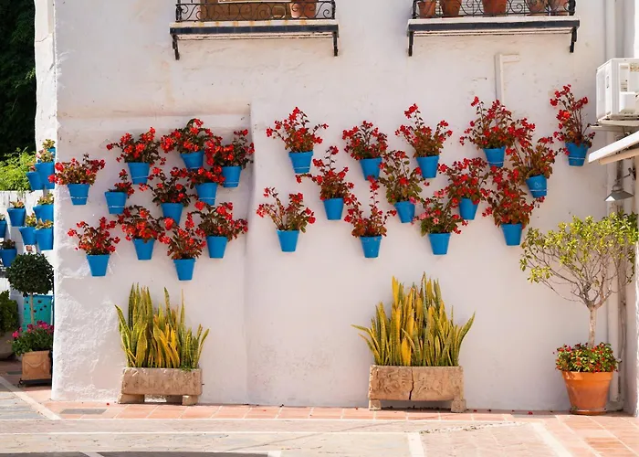 Oasis Lomas Del Club