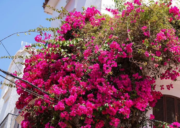 Oasis Lomas Del Club * ماربيا
