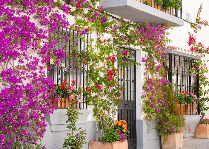 Appartamento Oasis Lomas Del Club